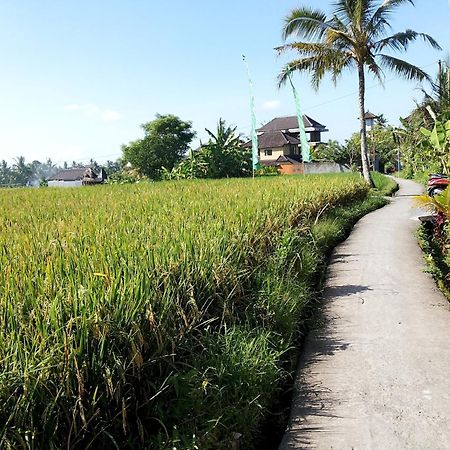 Jagi Villa Ubud  Ngoại thất bức ảnh