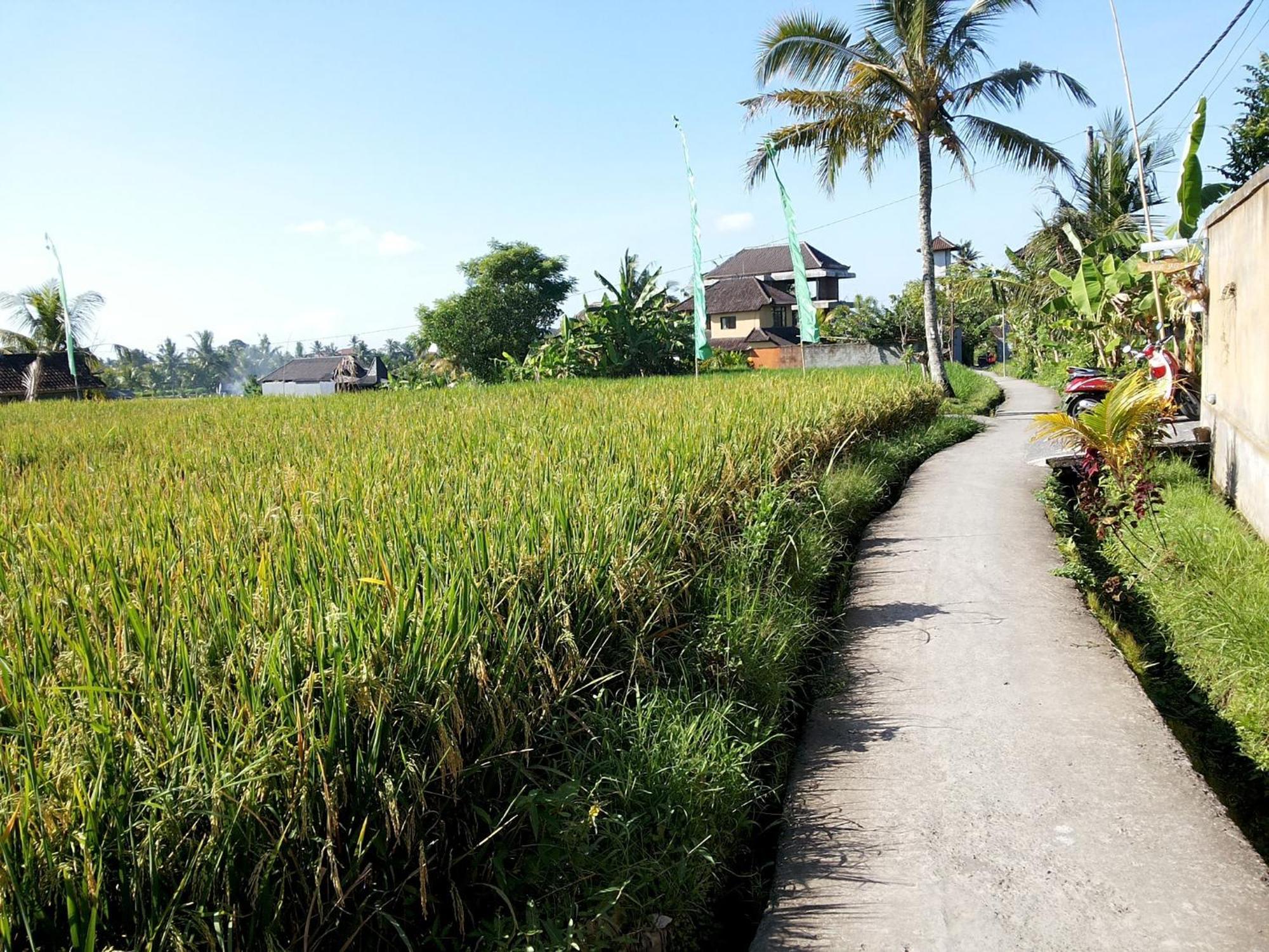 Jagi Villa Ubud  Ngoại thất bức ảnh